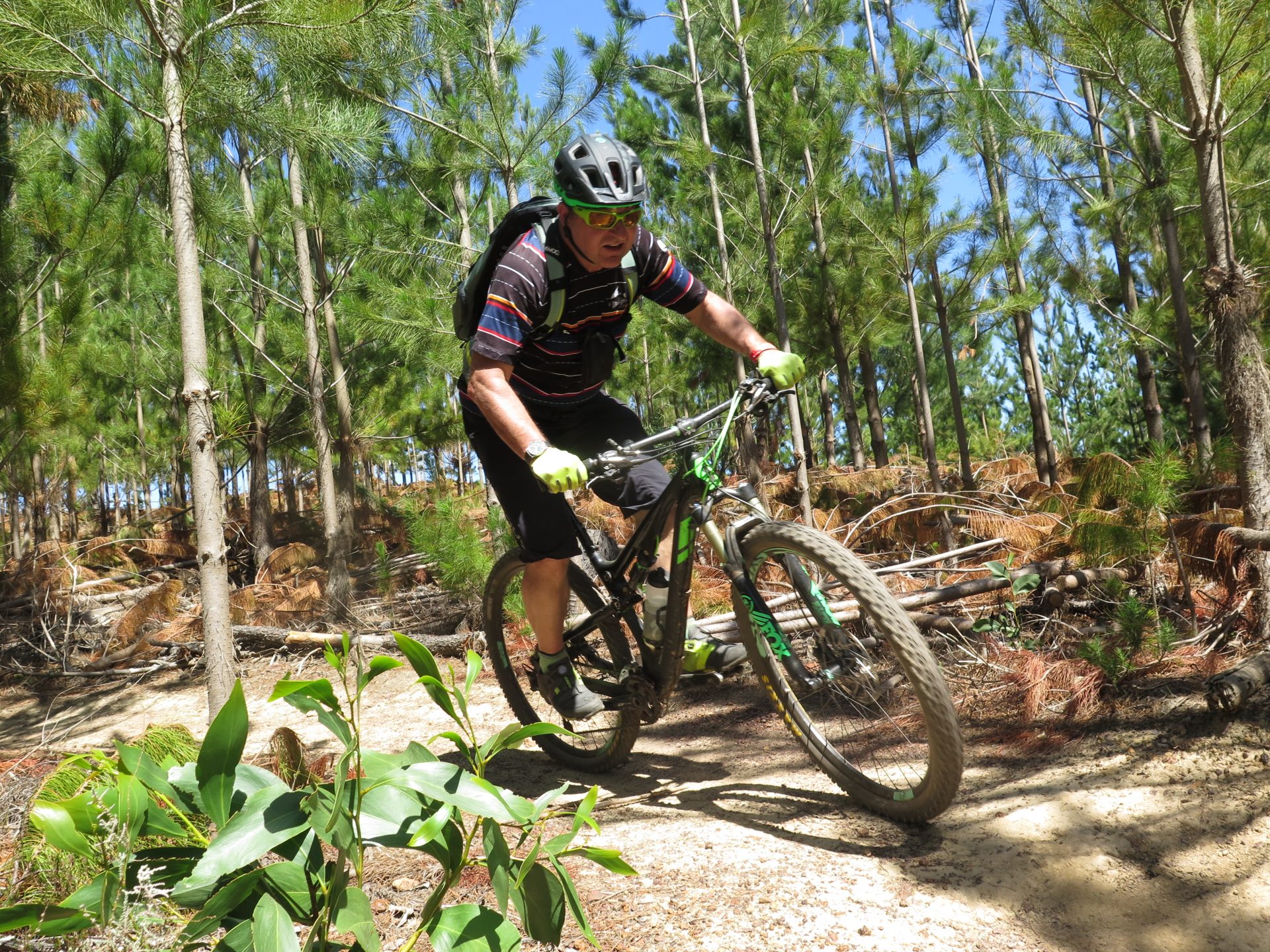 Südafrika Mountainbikereisen.ch Garden Route Norbert Dudli