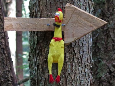 Best-of-BC-Kanada-mountainbikereisen.ch