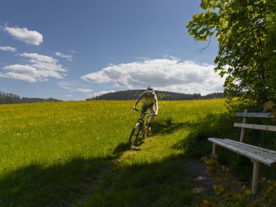 freiburg-trail-jagd