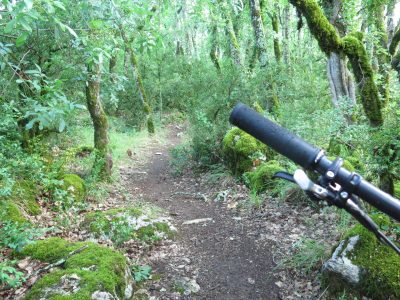 Mountainbiken Trans Ardèche mountainbikereisen.ch