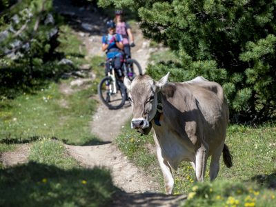 graubunden-Flowtrails-mountainbikereisen