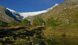 Mountainbiken Alta Rezia mountainbikereisen.ch