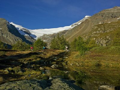 Mountainbiken Alta Rezia mountainbikereisen.ch