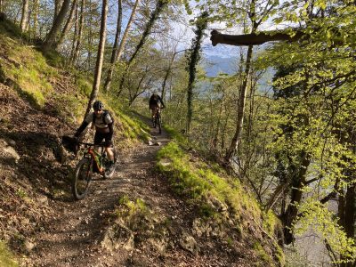 Singletrails Bad Ragaz mountainbikereisen.ch
