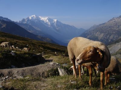 Chamonix Zermatt Mountainbikereisen