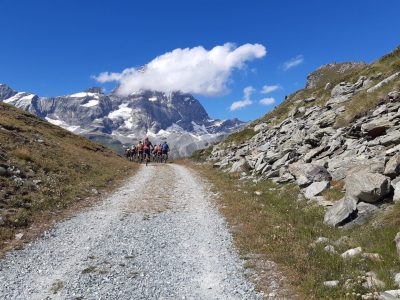 Chamonix Zermatt Mountainbikereisen