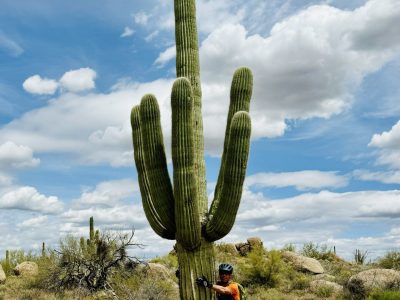 mountainbiking-usa-arizona-mountainbikereisen