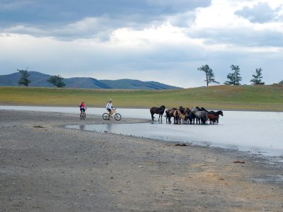 Mountainbiking Mongolei mountainbikereisen.ch