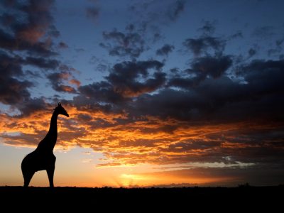 Mountainbike-Reise Südafrika mountainbikereisen.ch Bild: Shutterstock