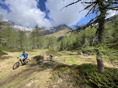 Engadin Singletrails Mountainbikereisen (19)