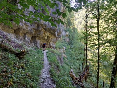geführte MTB-Touren Franche-Comte Mountainbikereisen