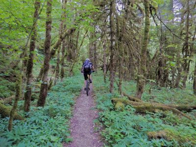 geführte MTB-Touren Franche-Comte Mountainbikereisen