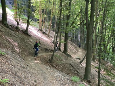 Comersee Trail-Attack mountainbikereisen.ch