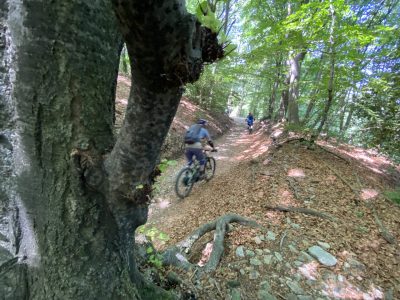mountainbiking-singletrails-ticino-tessin-mountainbikereisen.ch