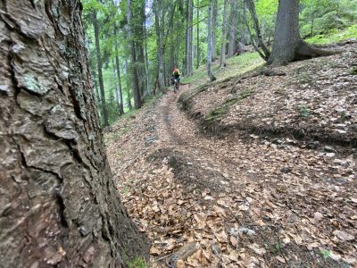 Slowenien Cross mountainbikereisen.ch