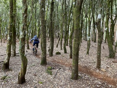 mountainbiking-singletrails-madeira-mountainbikereisen