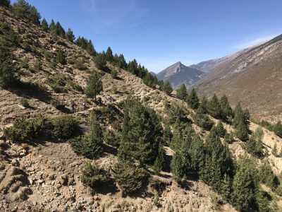 Mountainbiking Barcelona-Berga Enduro Singletrails mountainbikreisen.ch