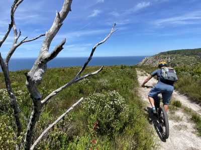 Südafrika Garden Route mountainbikereisen.ch