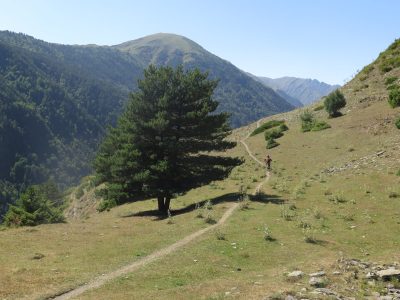 mountainbiken-geführte-reise-georgien-tusheti-mountainbikereisen