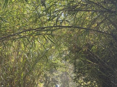 cote-d-azur-mtb-mountainbikereisen