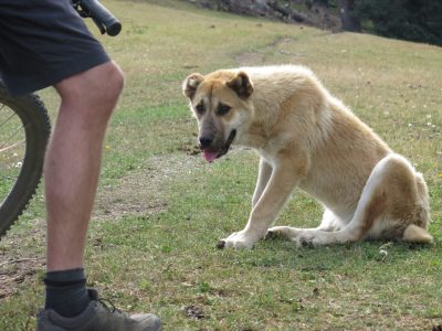mountainbikereisen-georgien-tusheti
