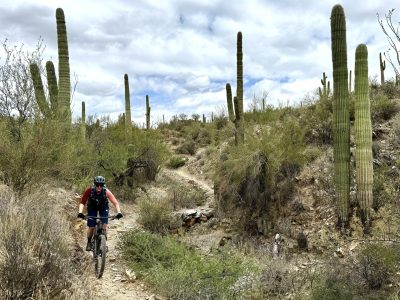 mountainbiking-usa-arizona-mountainbikereisen