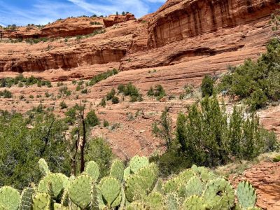 mountainbiking-usa-arizona-mountainbikereisen