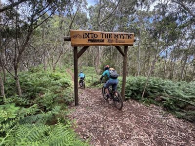 mountainbiking-singletrails-madeira-mountainbikereisen