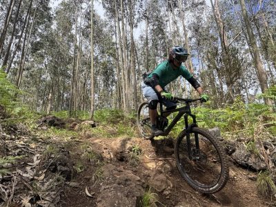 mountainbiking-singletrails-madeira-mountainbikereisen