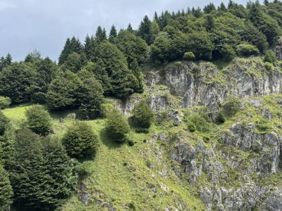 dynamite-trails-dolomiten-mountainbike-reisen-geführte-touren-singletrails