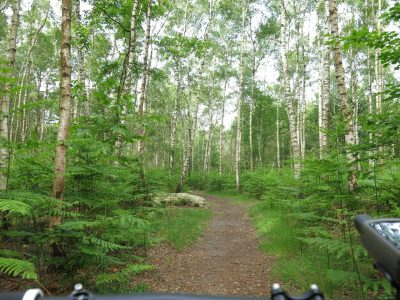 Loire Mountainbikereisen (13)