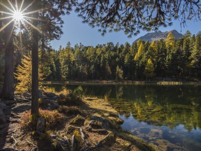 SARATZ Herbstfotos17 RUPA 1308