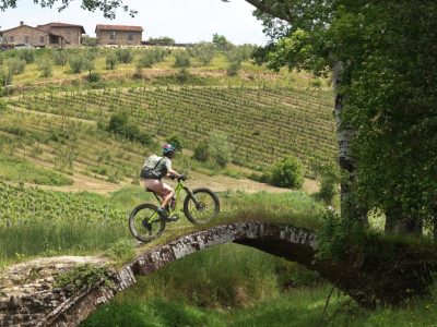 Trans Italia Mountainbikereisen-geführte-touren-quer-durch-Italien