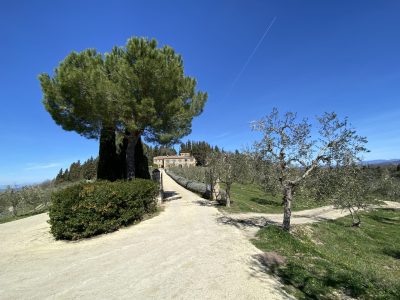Trans Toskana Mountainbikereisen geführte Touren