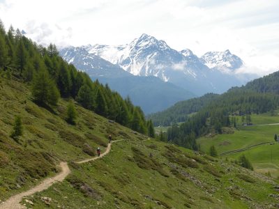 Transalp St.Moritz Riva Del Garda Mountainbikereisen (1)