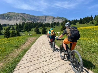 WhatsApp Bild 2025 06 11 Um 12.17.32 Ac90762e