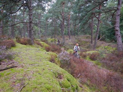 Zürich Paris 8 2014 5877