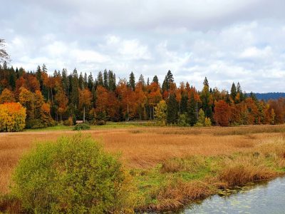 geführte MTB-Touren Franche-Comte Mountainbikereisen