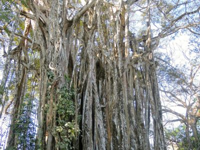 Costa Rica Mountainbikereisen