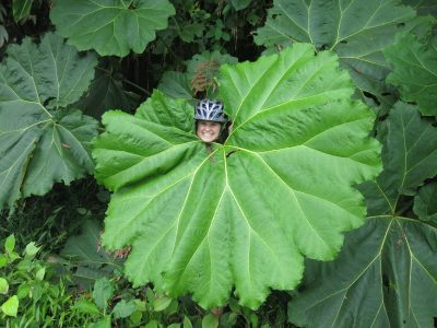 Costa Rica Mountainbikereisen