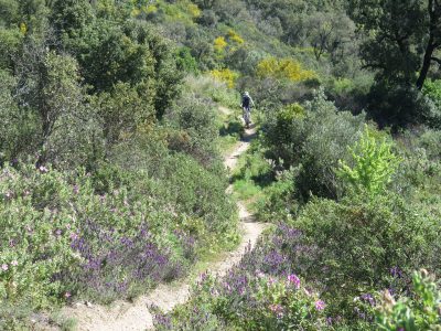 Cote D Azur Mountainbikereisen (5)