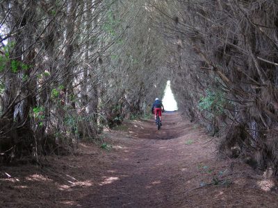 Cote D Azur Mountainbikereisen (6)