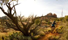 mountainbiking-usa-arizona-sedona-mountainbikereisen