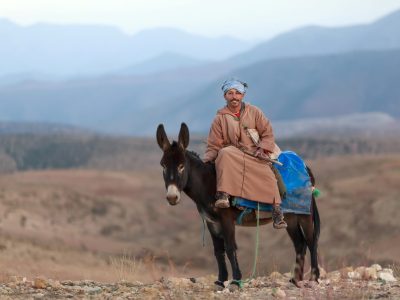 Marokko Singletrails Mountainbikereisen (7)