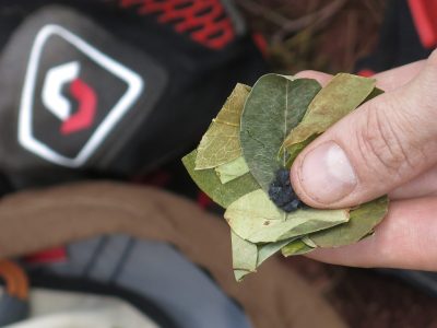 Geführte Mountainbike-Reise Peru mountainbikereisen.ch