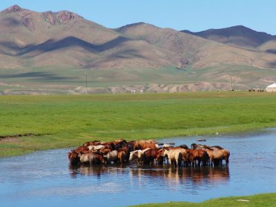 Mountainbiking Mongolei mountainbikereisen.ch Foto: Shutterstock