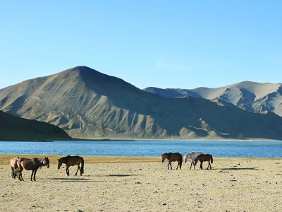 Mountainbiking Mongolei mountainbikereisen.ch Foto: Shutterstock