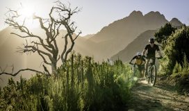 Riding Mountainbikes in Stellenbosch SA