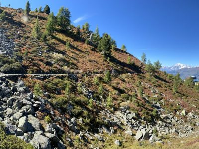 Valle-Aosta-Mountainbikereisen-Singletrails-geführte-Touren