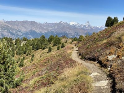 Valle-Aosta-Mountainbikereisen-Singletrails-geführte-Touren